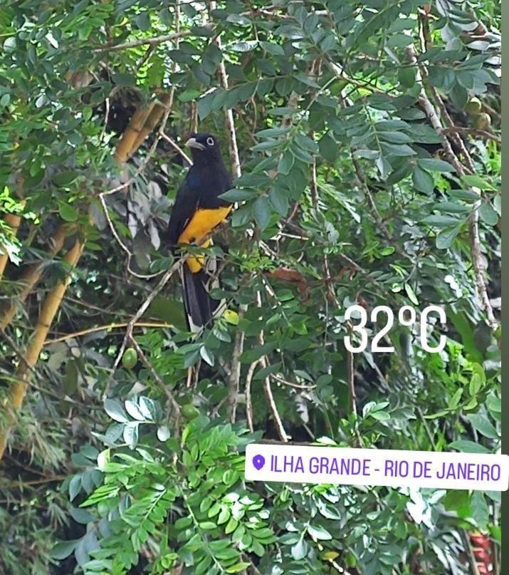 Bangalo Na Acqua Jungle Lodge Vila do Abraao ภายนอก รูปภาพ