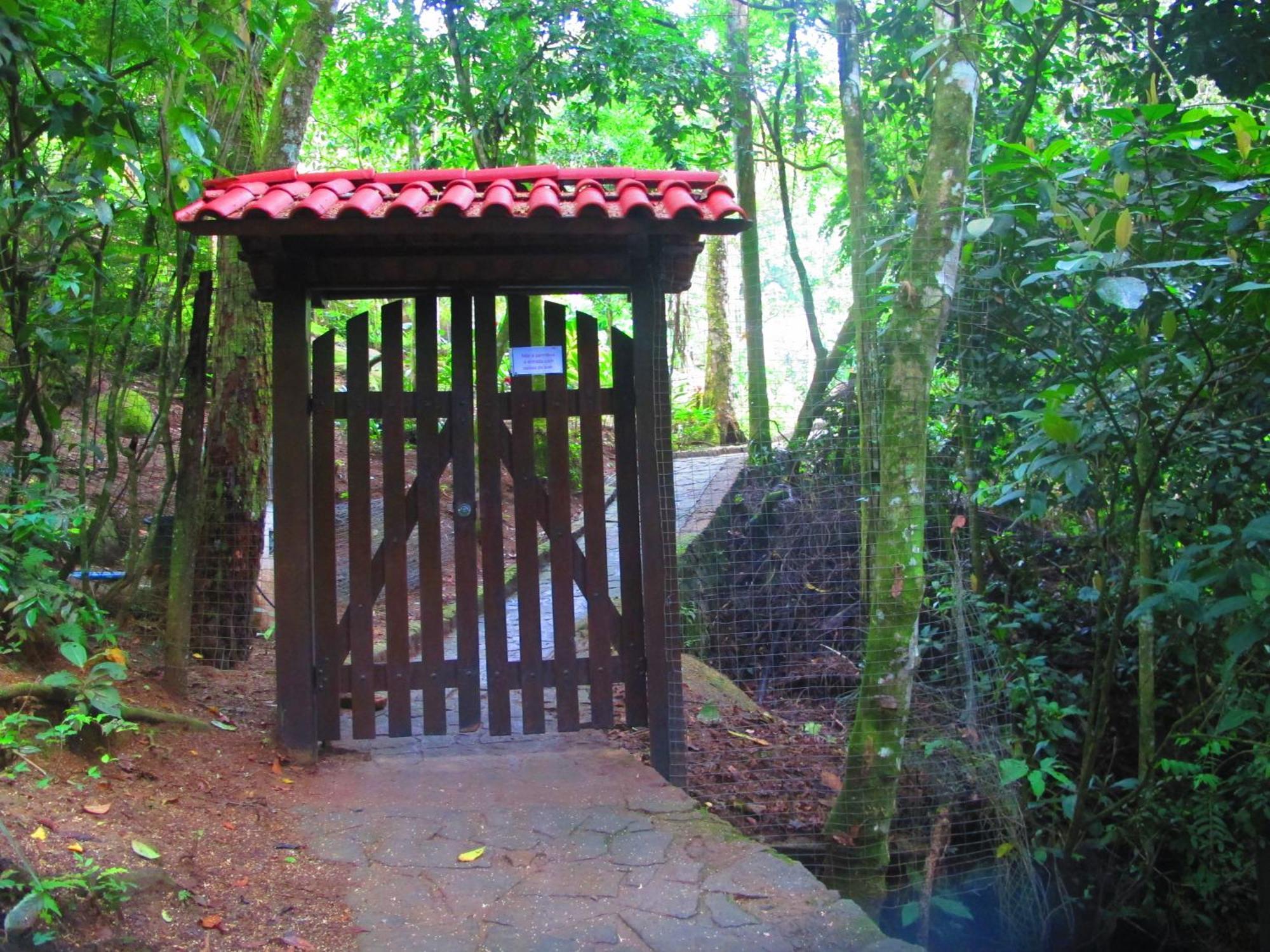 Bangalo Na Acqua Jungle Lodge Vila do Abraao ภายนอก รูปภาพ