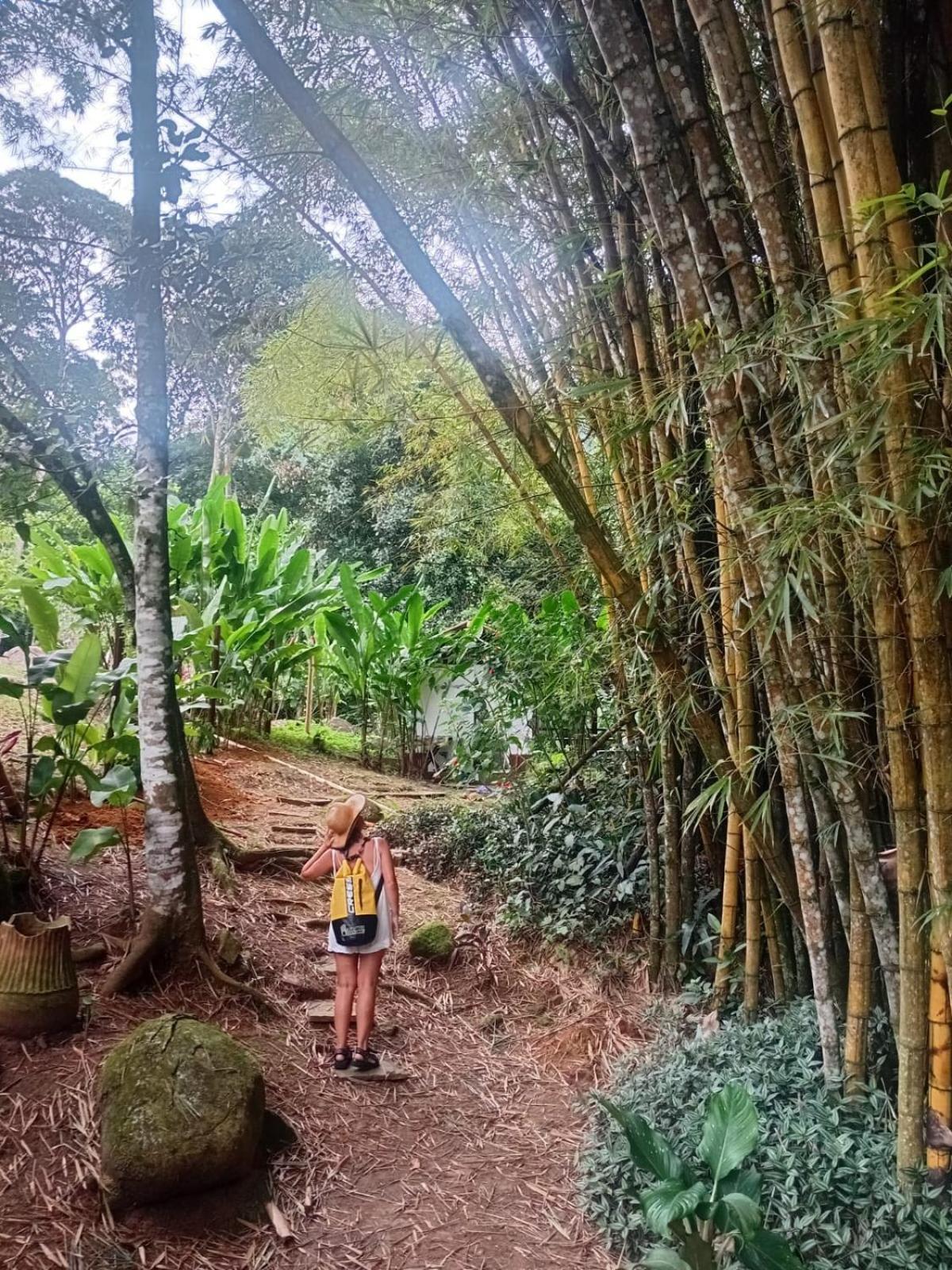Bangalo Na Acqua Jungle Lodge Vila do Abraao ภายนอก รูปภาพ